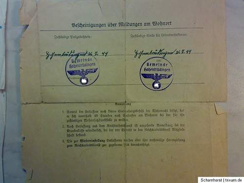 Nice small late  Waffen SS document grouping with photo
