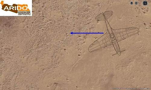 P-40 Kittyhawk discovered in the Sahara desert