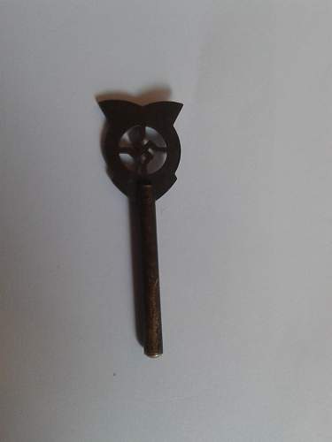 WW2 nazi pin or something.