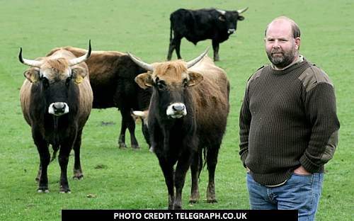 &quot;Nazi Cattle&quot; Cull