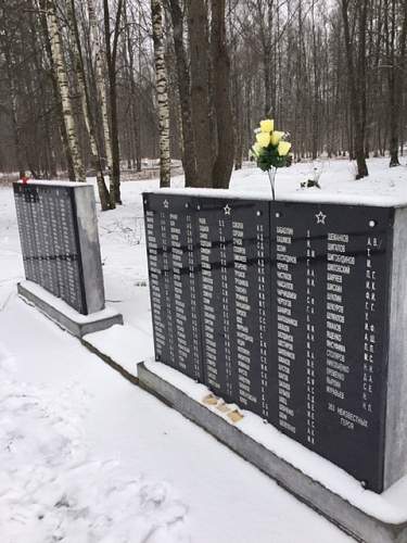 The Battlefield at Sinyavino Heights, Leningrad/St Petersburg