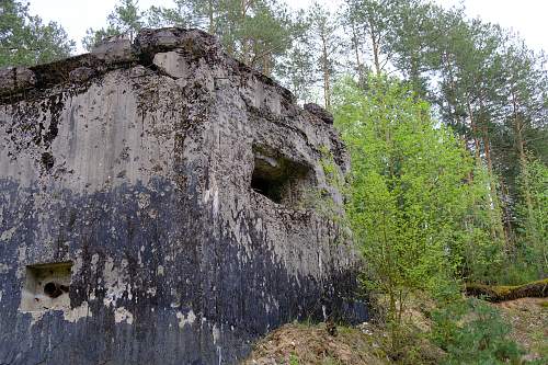 First shots on June 22nd- Molotov line