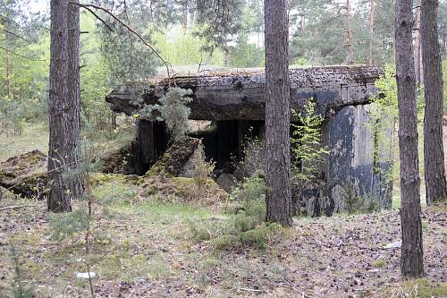 First shots on June 22nd- Molotov line