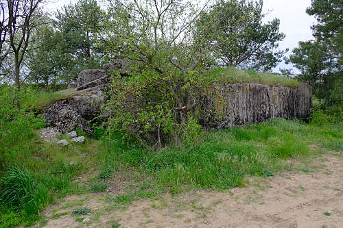 First shots on June 22nd- Molotov line