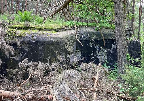 First shots on June 22nd- Molotov line