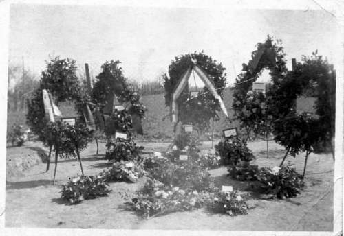 Madonna dell'Albero