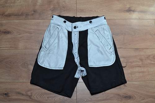 HJ shorts for review