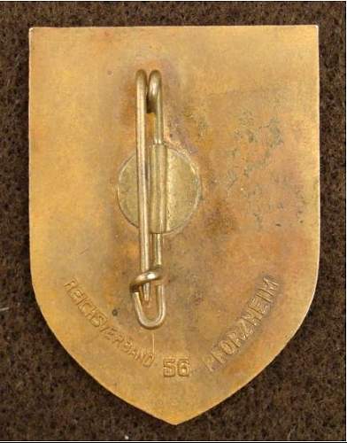 1934 Nazi Hitler Youth Participants Badge for the DAF