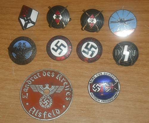 Estate Auction Finds...HJ Sharpshooter Pin, Hitler Youth pin, Party Pins, ????