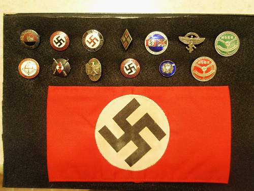 Estate Auction Finds...HJ Sharpshooter Pin, Hitler Youth pin, Party Pins, ????
