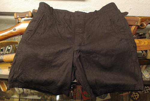 HJ Shorts and buckle and a little pennant: good or bad?