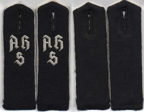 Adolph Hitler School insignia