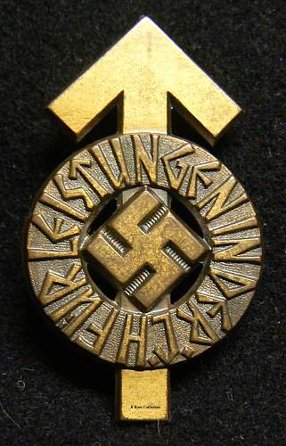 HJ Leistungsabzeichen In Bronze, or Gold?