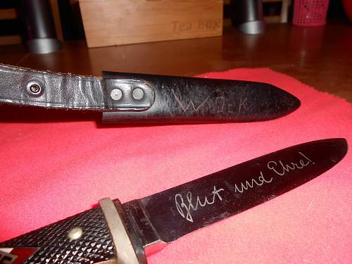 Transitional HJ Knife Puma with Motto