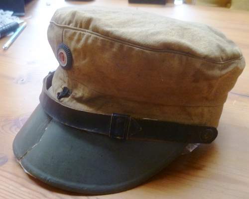 Opinions on a nice early field type visor cap PLEASE.
