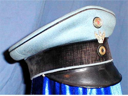 Schwedter Adler Traditions-badged Headgear