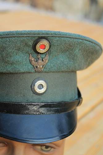 Schwedter Adler Traditions-badged Headgear