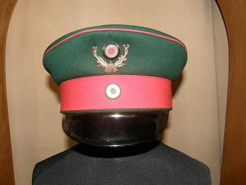 Karpathenkorps &amp; Alpenkorps Visors