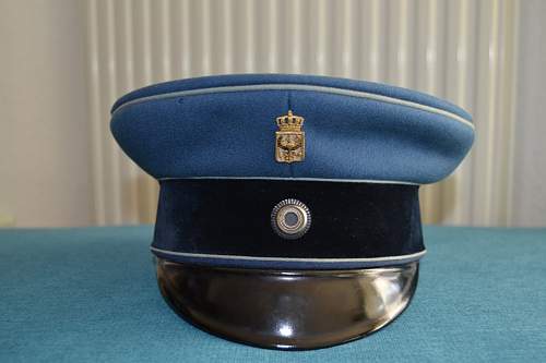 Po-KR Police Visors