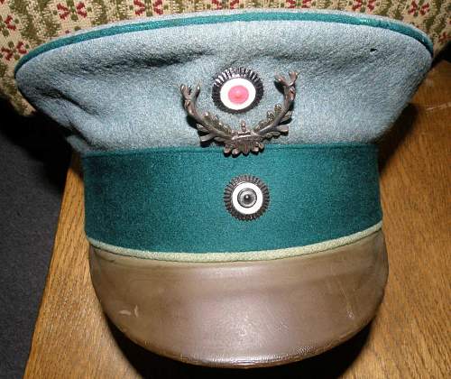 Karpathenkorps &amp; Alpenkorps Visors