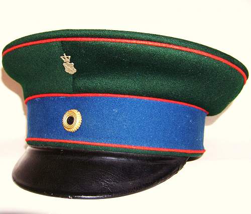 Po-KR Police Visors