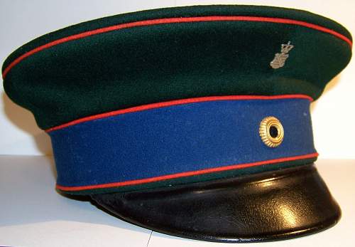 Po-KR Police Visors