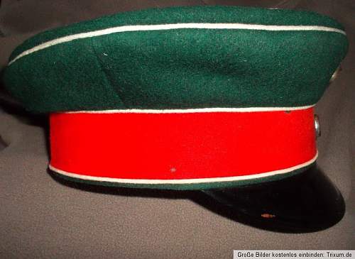 1919-1945 Verein Visors