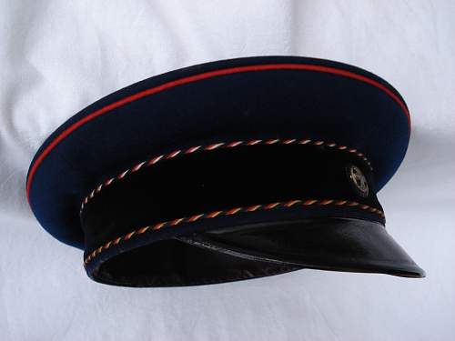 Pre-1914 Landwehrverein Visors