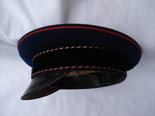 Pre-1914 Landwehrverein Visors