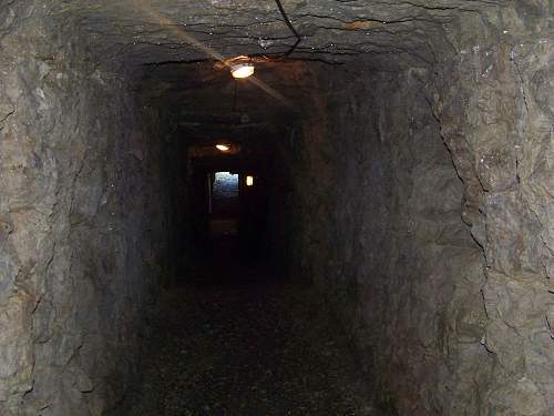 German trench line in Meuse Argonne