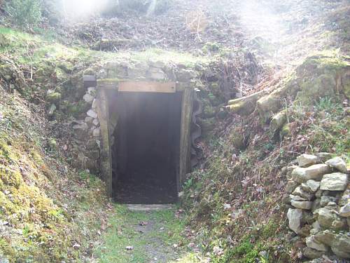 German trench line in Meuse Argonne