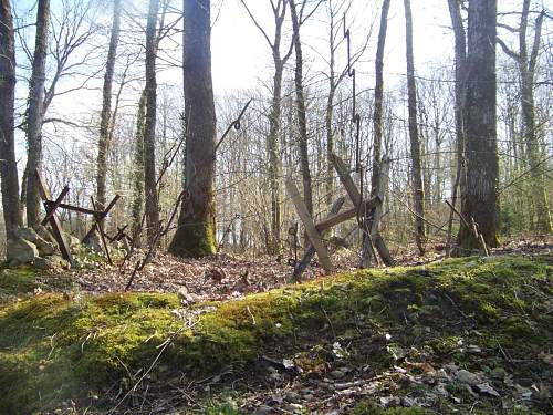 German trench line in Meuse Argonne