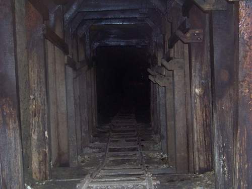 German trench line in Meuse Argonne