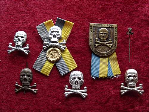 Brunswick Hussars 50 Year Traditions Skull Veterans badge