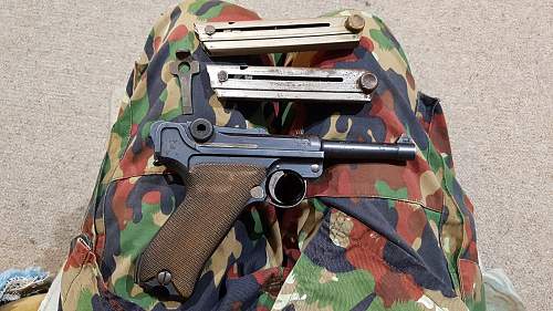 P08 WWI bring back