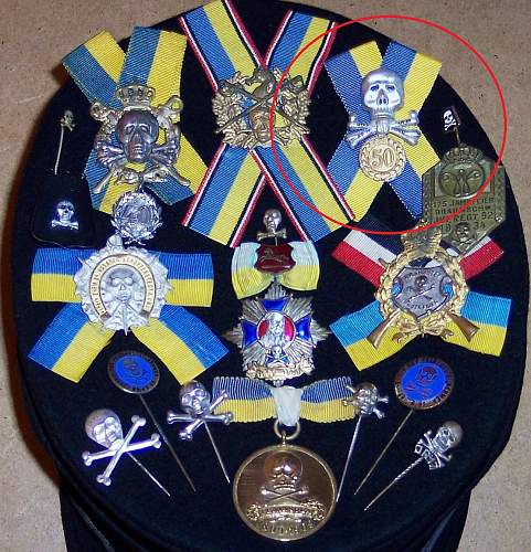 Brunswick Veteran Badges With Skulls