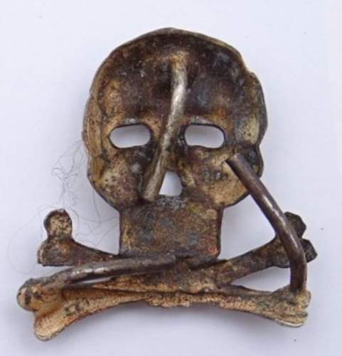 Braunschweig skull.