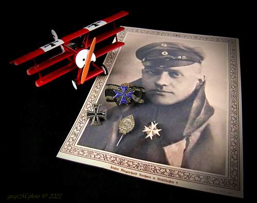 The Red Baron 4-21-1918