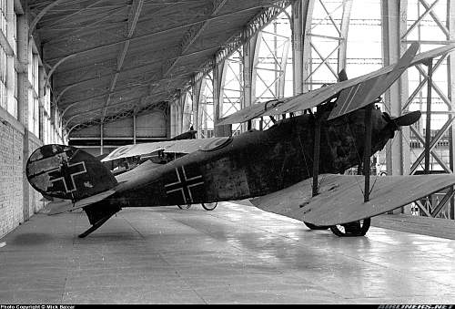 Some unrestored Halberstadt planes