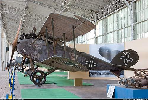 Some unrestored Halberstadt planes