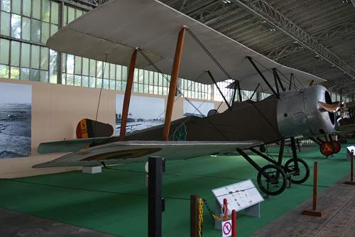 Some unrestored Halberstadt planes