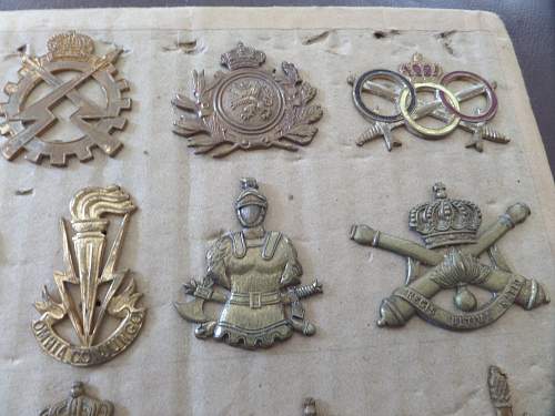 Fea market find Belgium Army badges