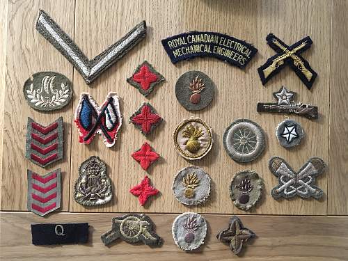 A Collection of Insignia