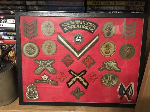 A Collection of Insignia