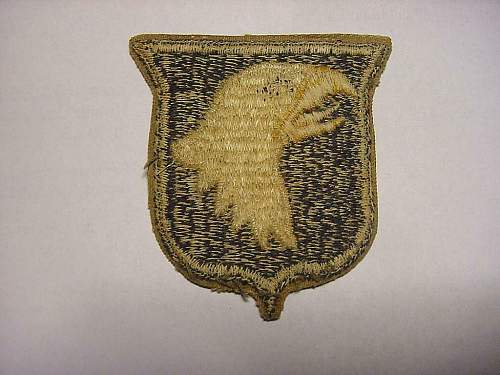 Screaming eagle 101th Division ww2 ?