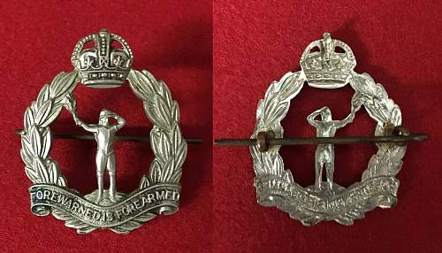 British Army Badge Collection