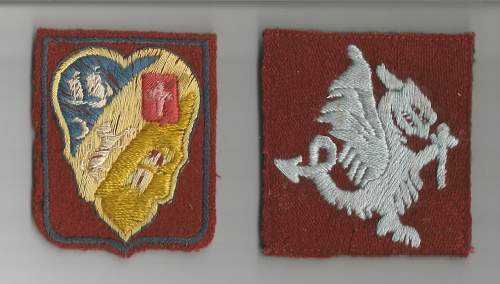 Need Help Please? French or British WWII Patches?