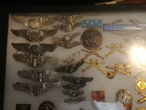 Wing Insignia table cloth