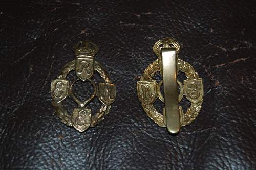 British Cap badges - Newbie needs assistance!