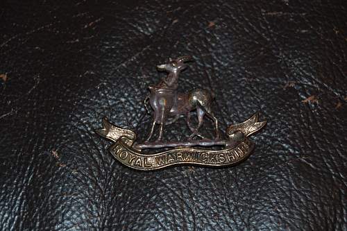 British Cap badges - Newbie needs assistance!